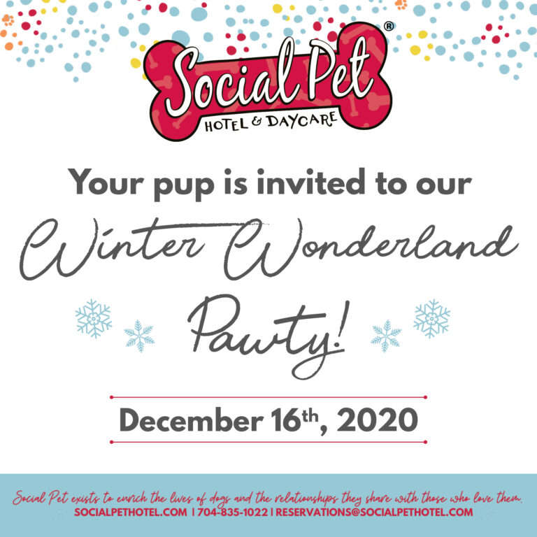 winter_daycare_party_social-1