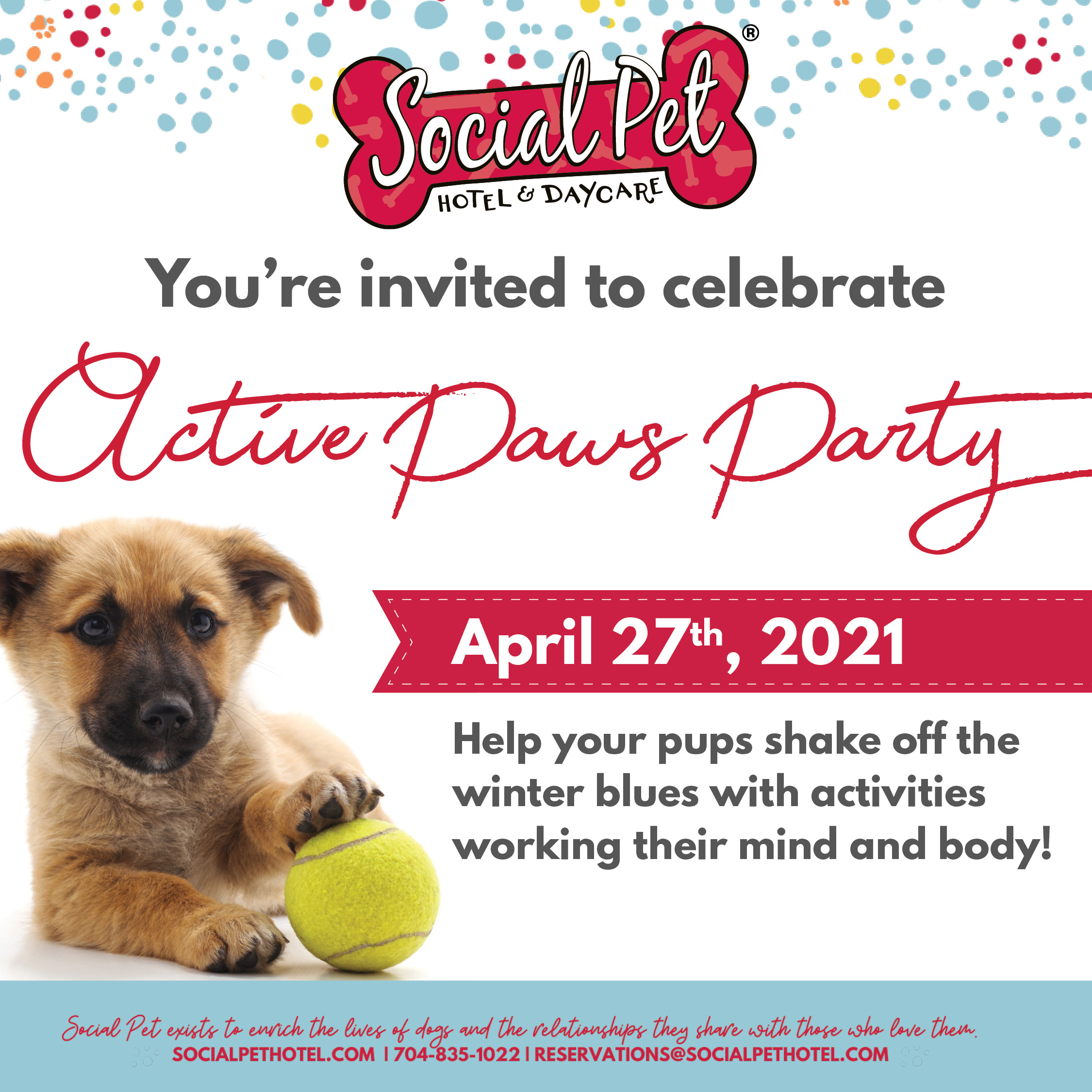 Active Paws Party Social Pet