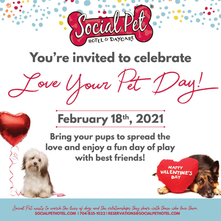 February Social