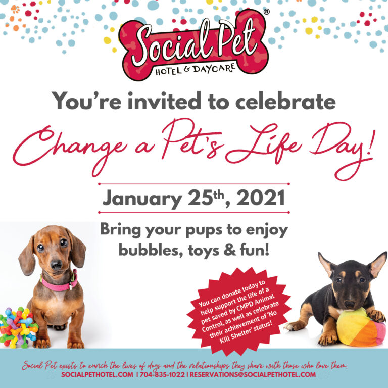 January-Party-Social