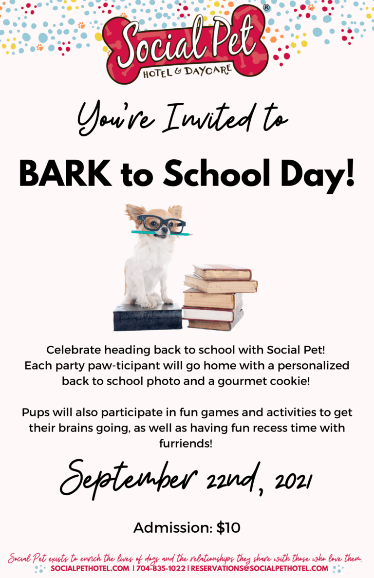 BARK-to-School-Day-Flyer