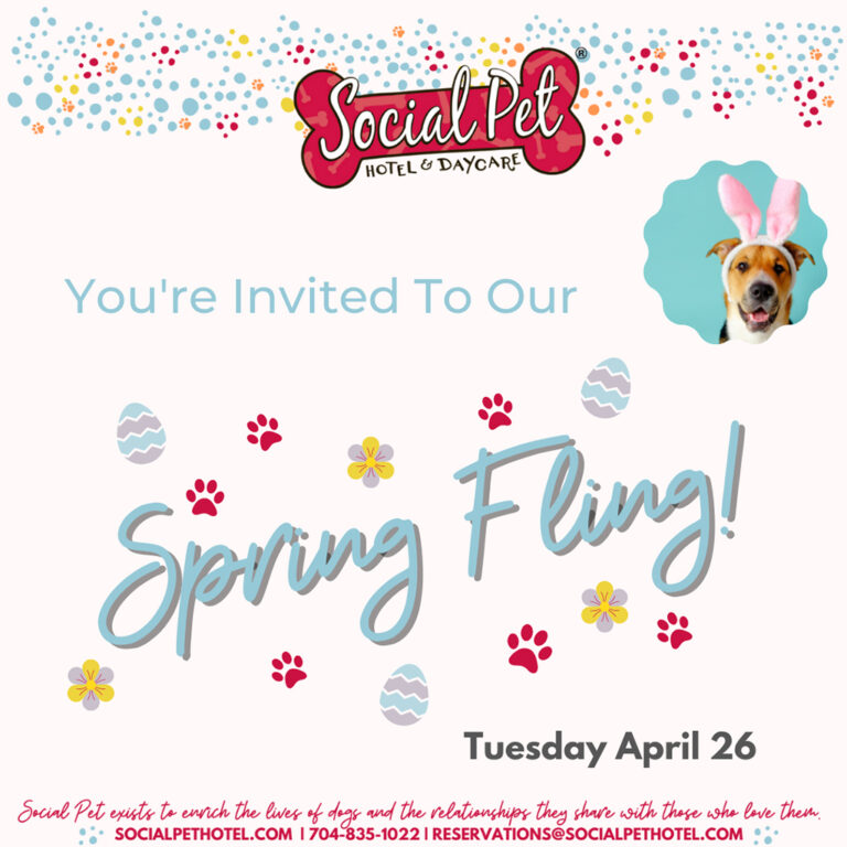 April-Daycare-Party