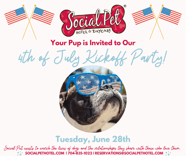 June-Daycare-Party