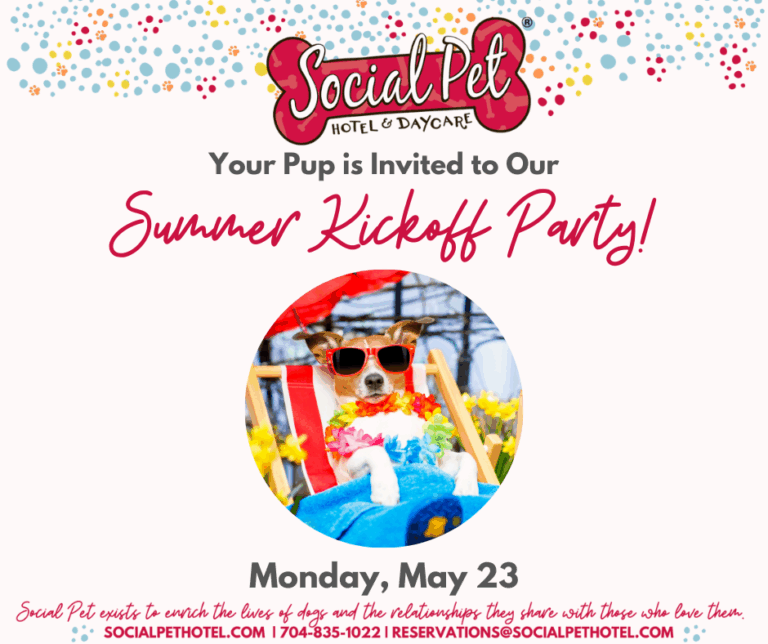 May-Daycare-Party
