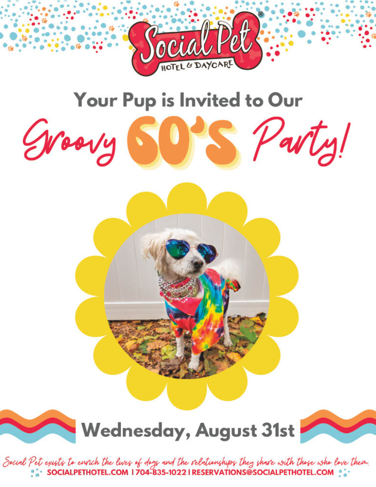 August-Daycare-Party-Lobby-Flyer1024_1