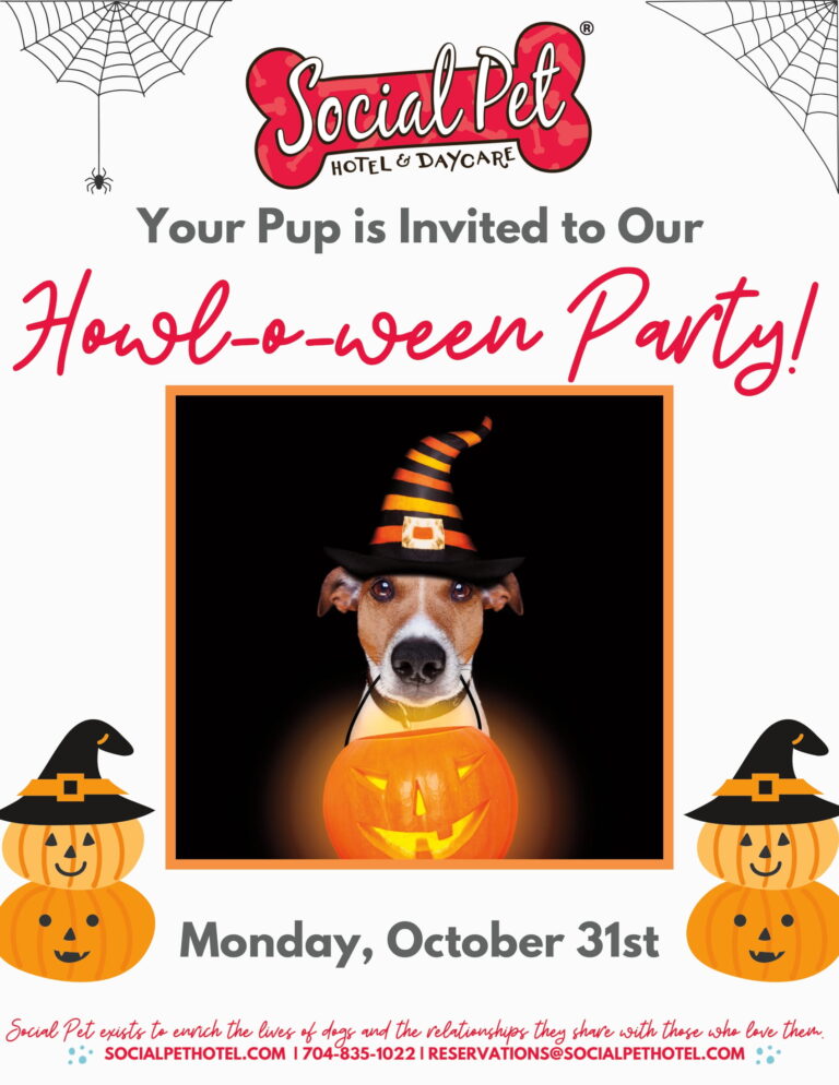 October-Daycare-Party-Lobby-Flyer-1