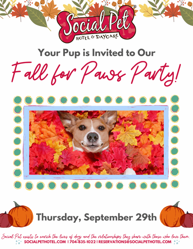 September-Daycare-Party-Lobby-Flyer