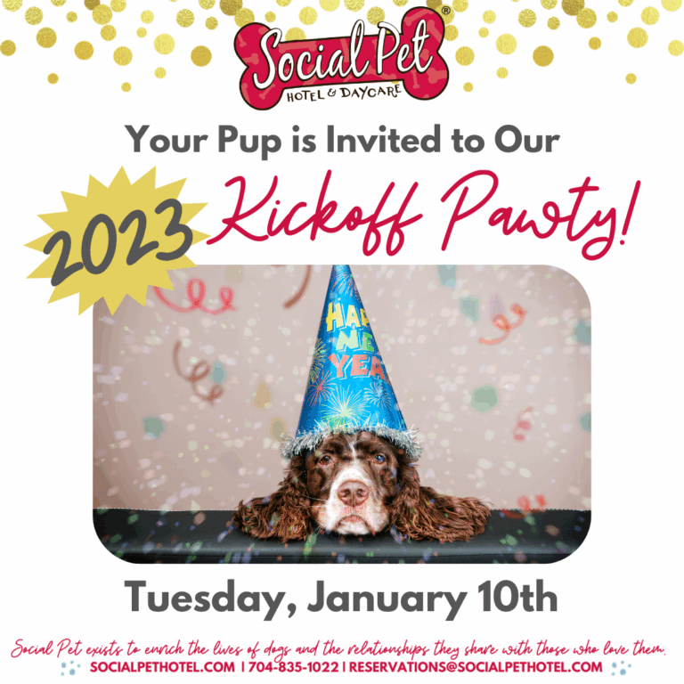 January-Party-Post