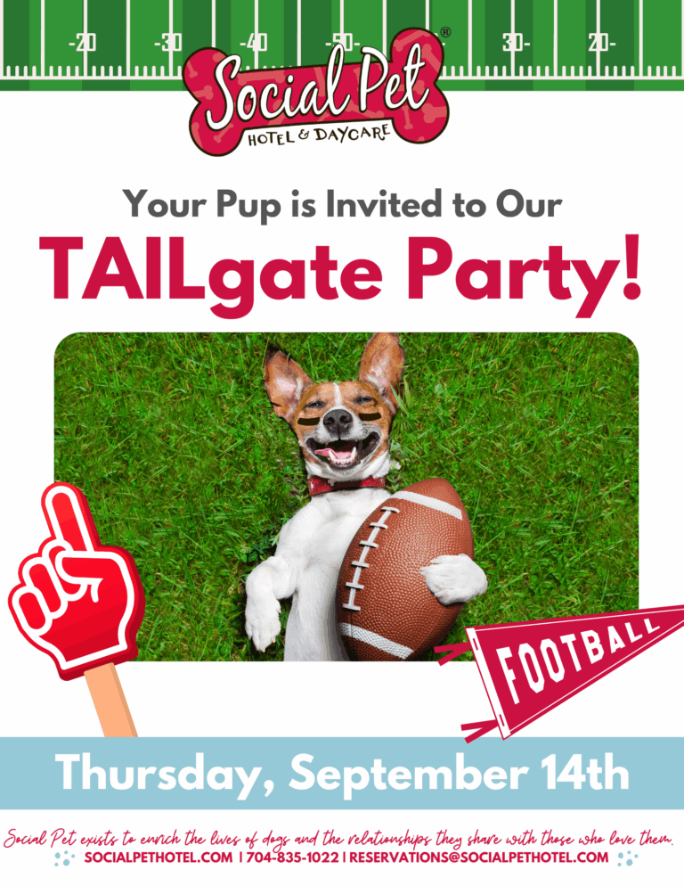 Sept_Party-1