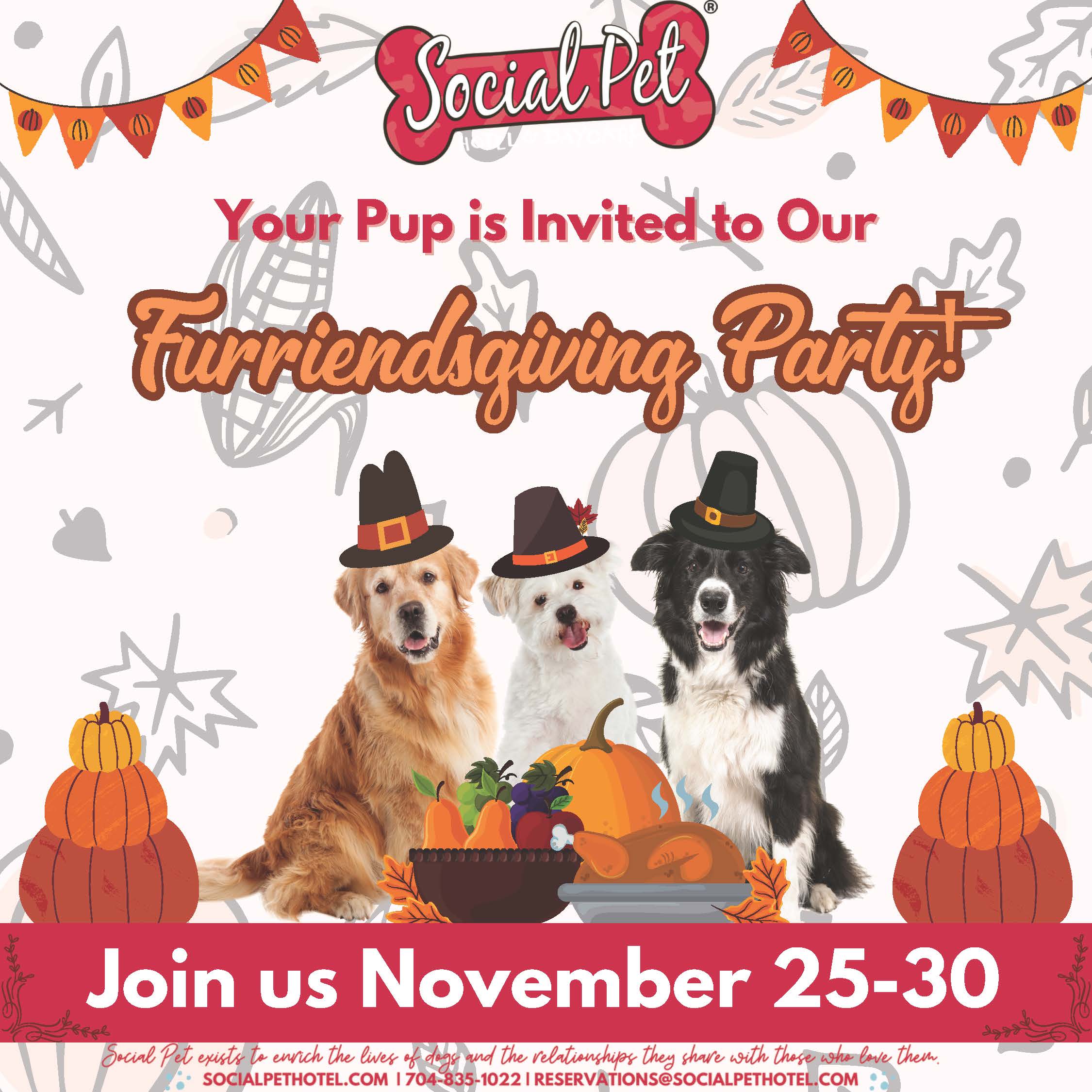 Invitation for Furriendsgiving Party 2024