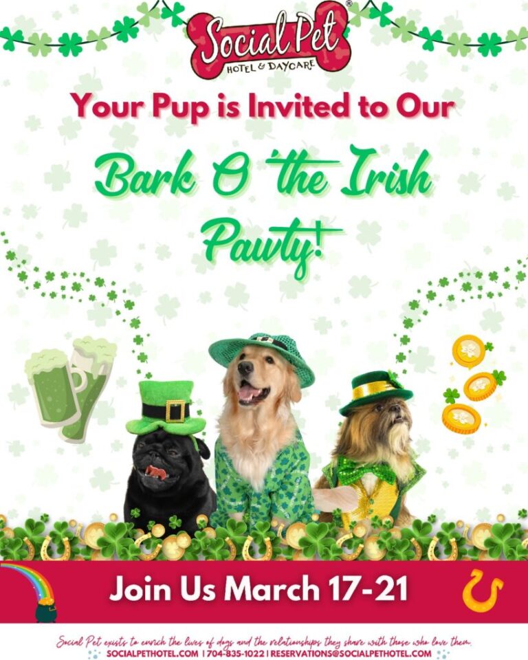 St-Patricks-Day-Flyer-pdf-819x1024