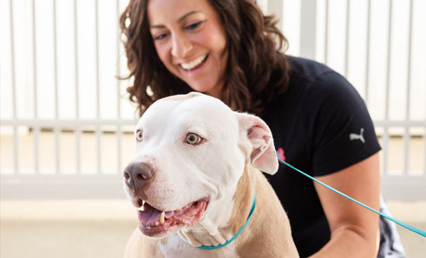 Owner with a happy dog