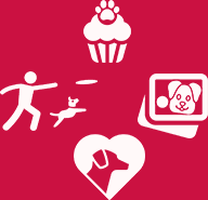 Activity icons