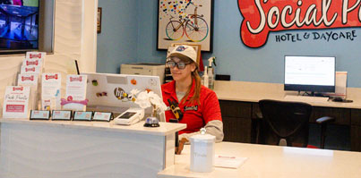 Front desk giving an owner a mid-day check-in call
