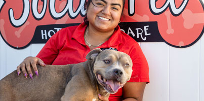 staff resting with a dog