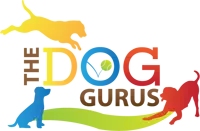 the dog gurus