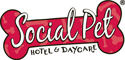 Social Pet Hotel and Daycare