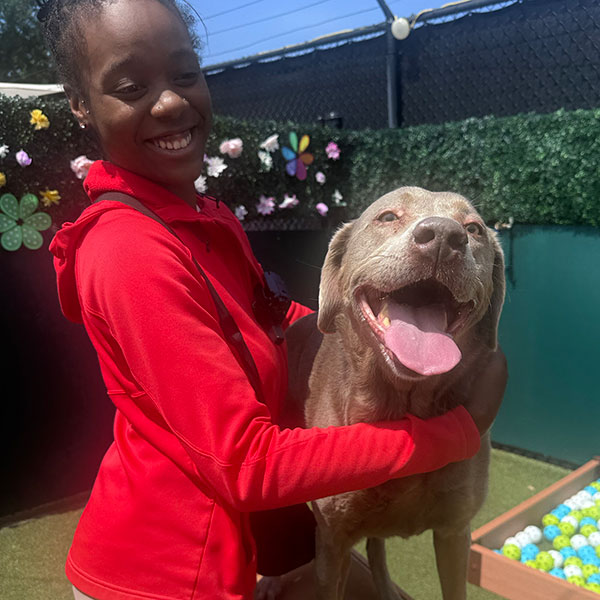 Staff hugging a happy dog