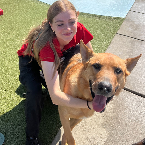 Staff hugging a happy dog