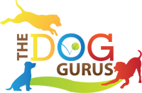 The Dog Gurus logo